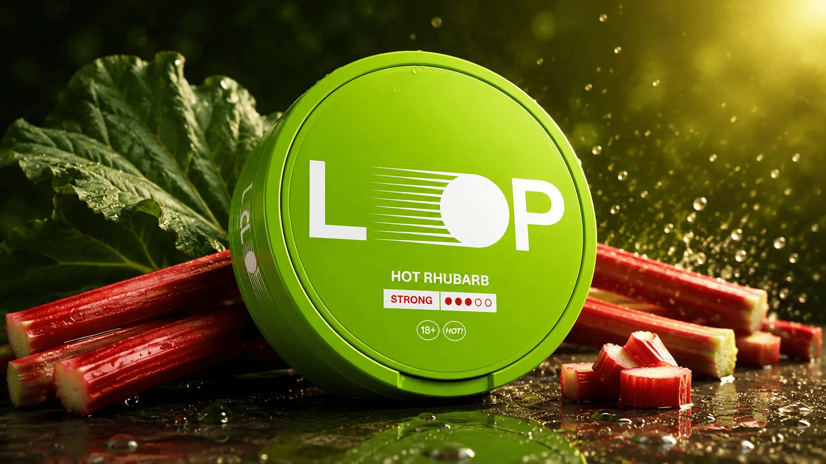 LOOP Hot Rhubarb Strong Nicotine Pouches Dose von Snustrend