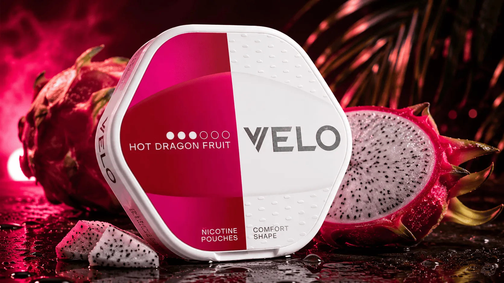 VELO Shift Hot Dragonfruit Nicotine Pouches Dose von Snustrend
