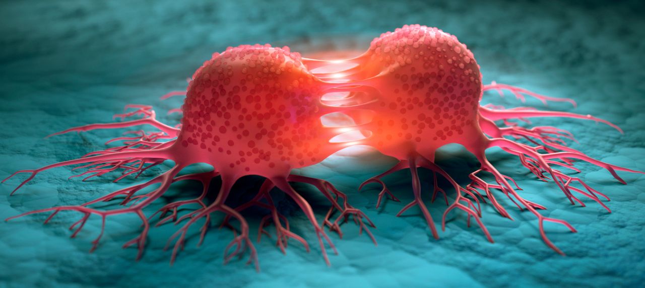 Bekommt man von Snus Krebs? Ein Vergleich zwischen Snus und Zigaretten