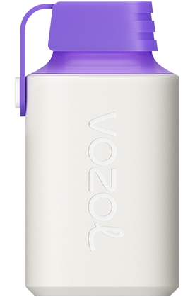 VOZOL Gear 600 Energia ai frutti di bosco
