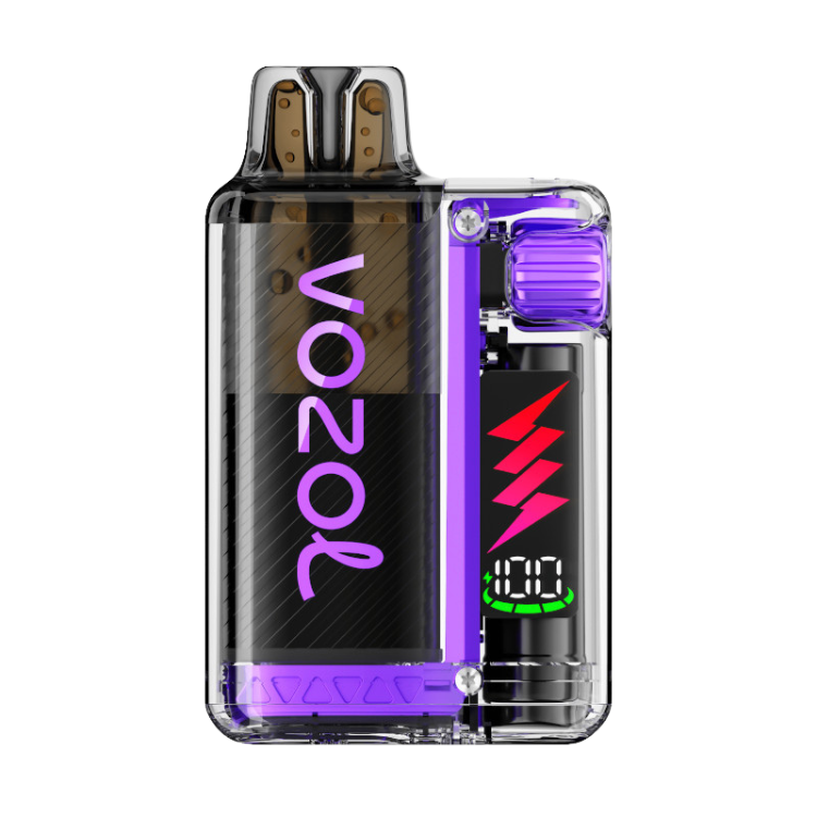 VOZOL - Vista Plug 10000 - Blueberry Raspberry Lemon