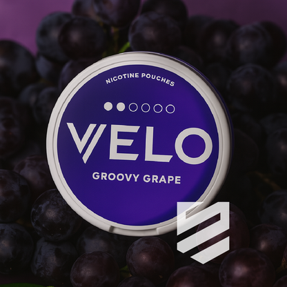 Velo - Groovy Grape Mini / Purple Grape Mini
