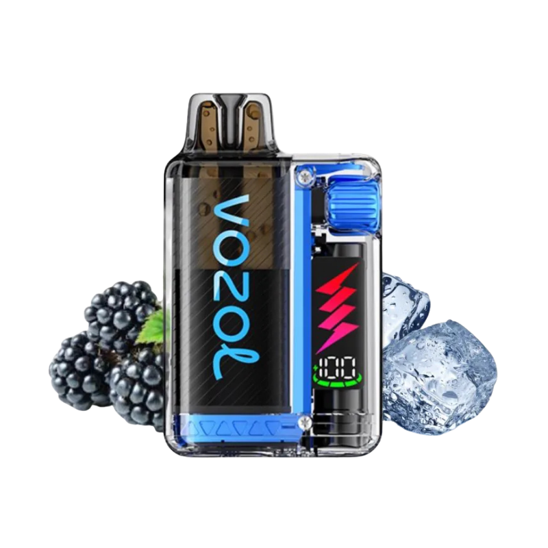 VOZOL - Vista Plug 10000 - Blackberry Ice