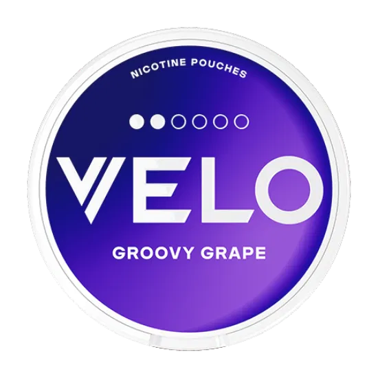 VELO Groovy Grape Mini / Purple Grape Mini