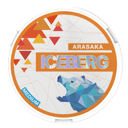 ICEBERG Arasaka medium