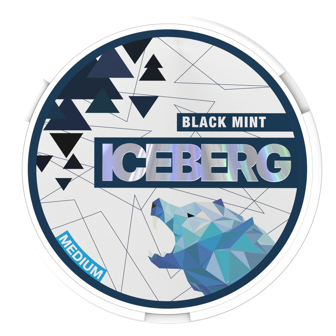 ICEBERG Black Mint medium