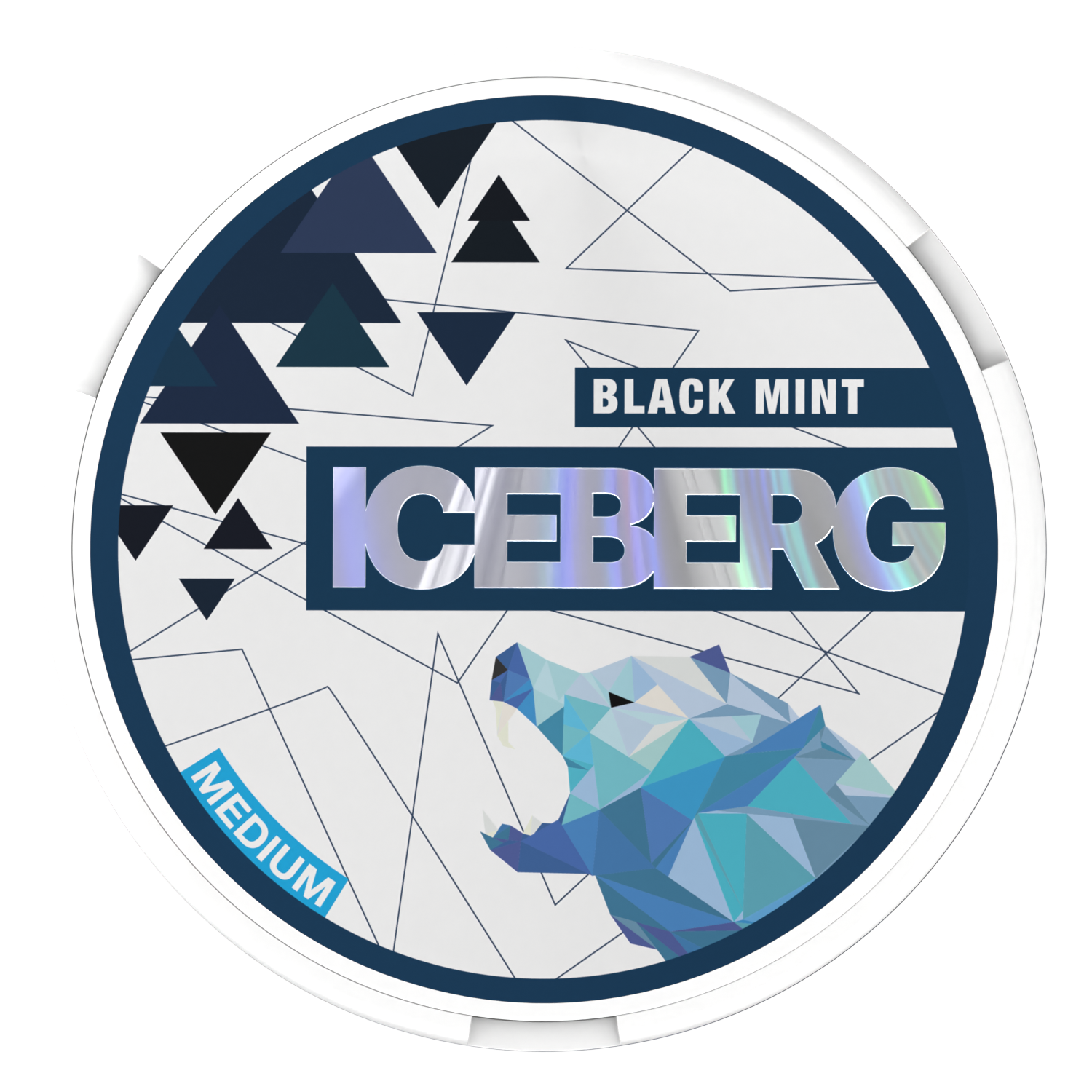 ICEBERG Black Mint medium 