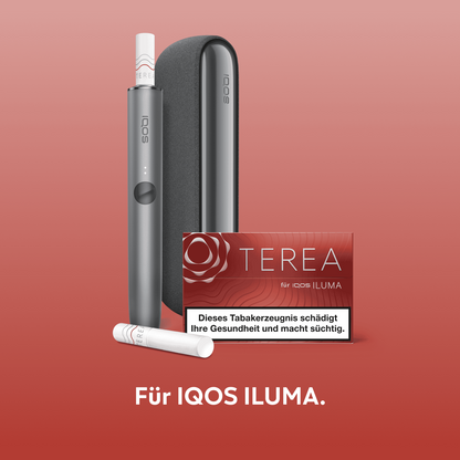 IQOS TEREA Sticks Sienna