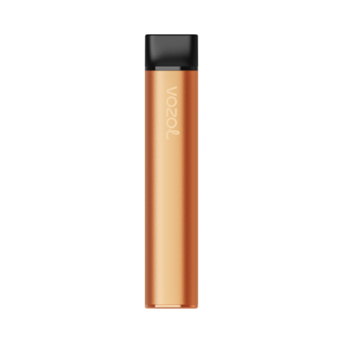 VOZOL SWITCH 600 Batterie - Orange