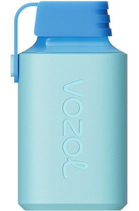 VOZOL Gear 600 Mr Blu