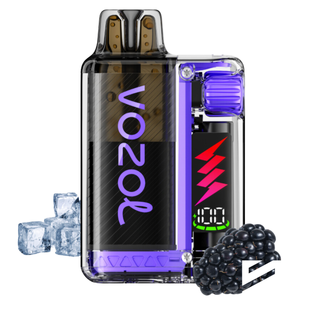 VOZOL Vista Plug 10000 Blackberry Ice