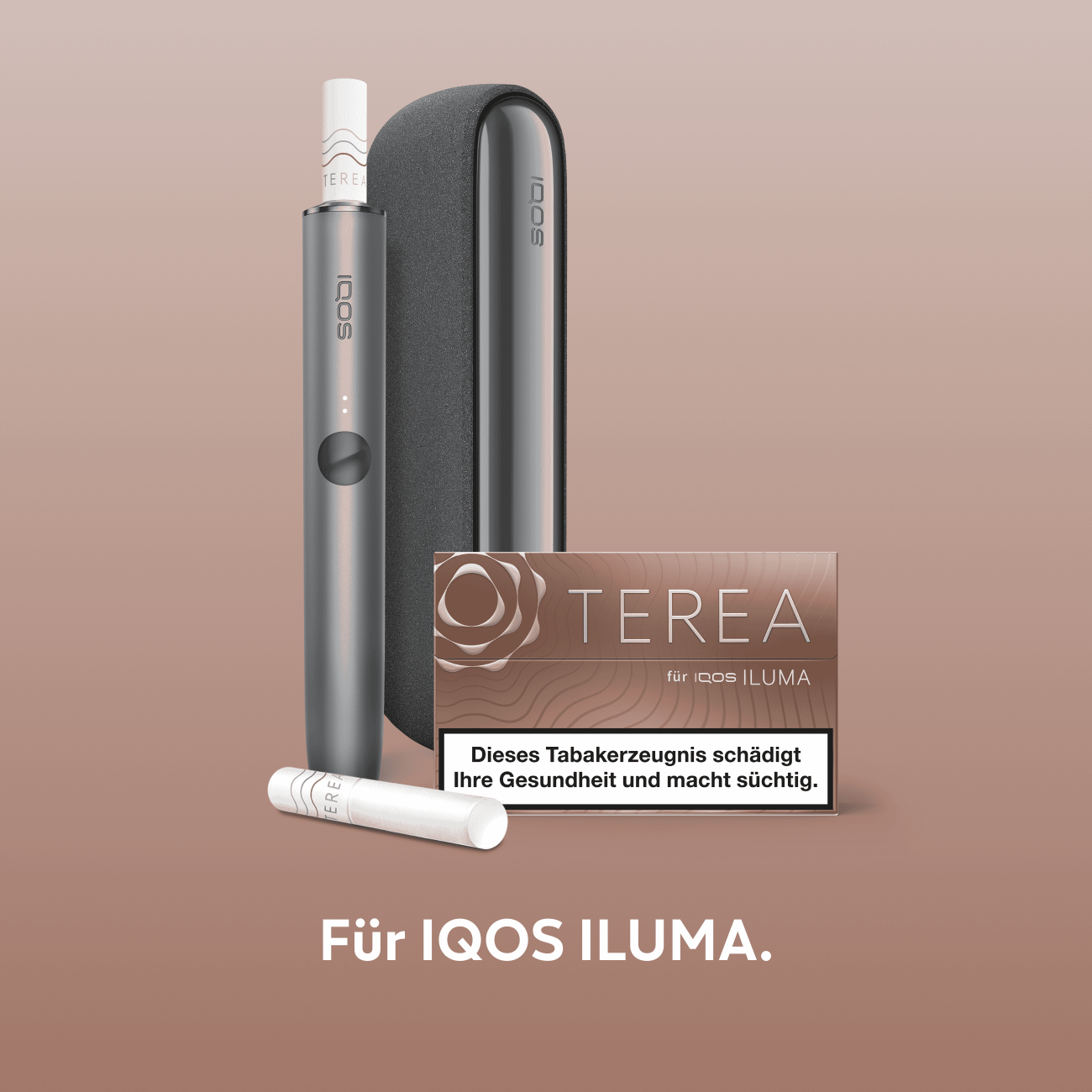 IQOS TEREA Sticks Teak