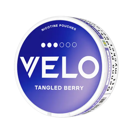 VELO  Berry  enchevêtré / Rasperry bleu