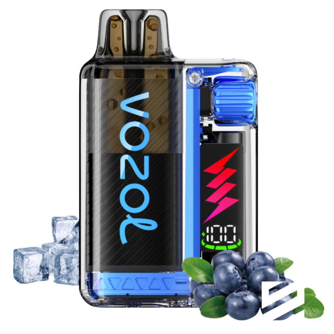 VOZOL Vista Plug 10000 Blueberry Ice