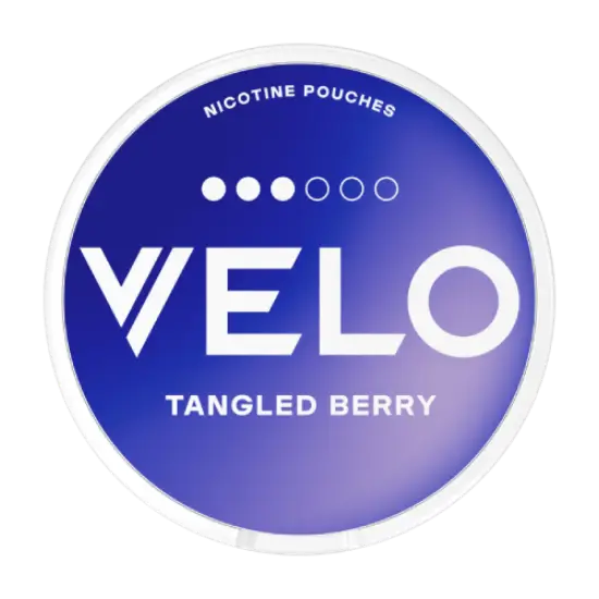 VELO  Berry  enchevêtré / Rasperry bleu