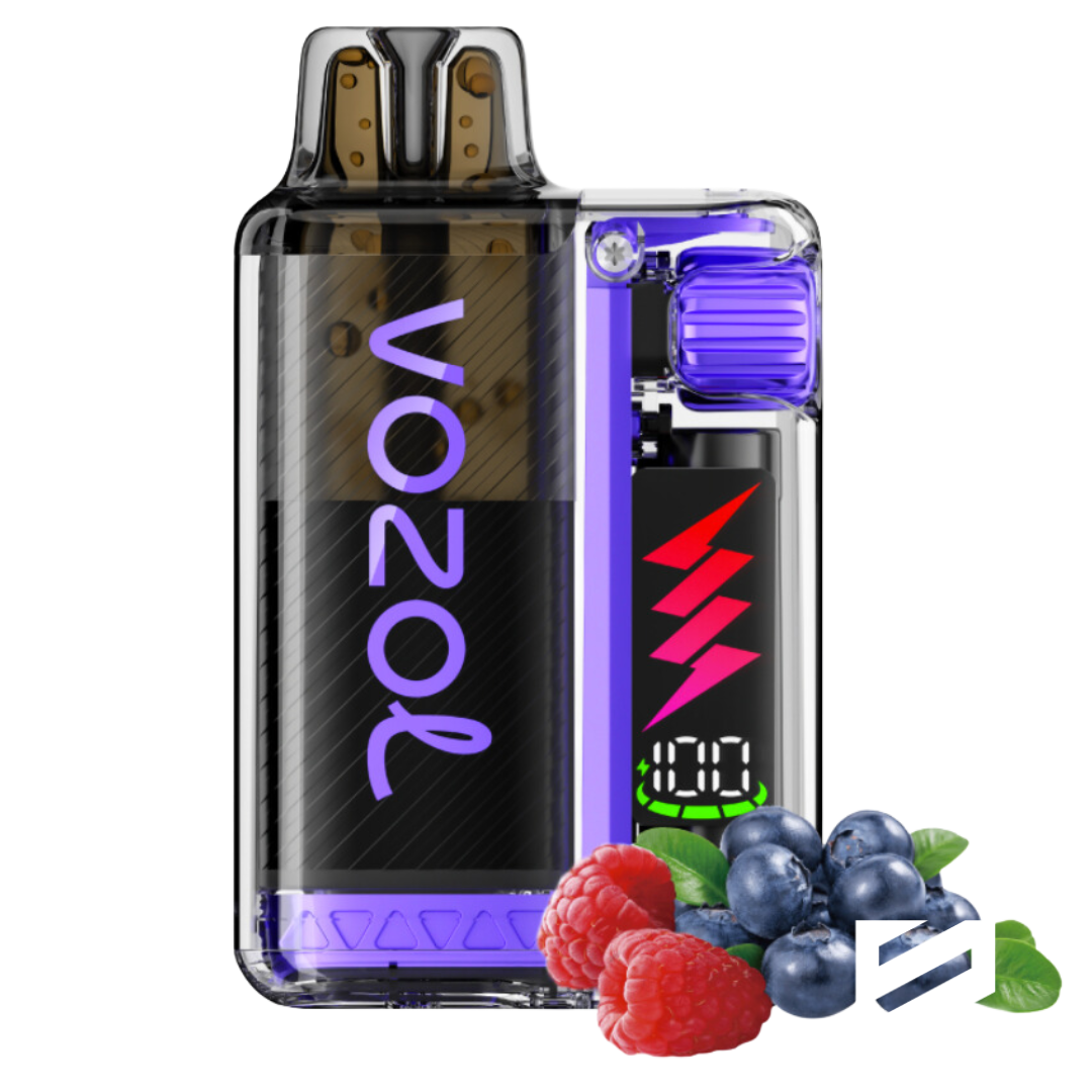 VOZOL Vista Plug 10000 Blueberry Sour Raspberry